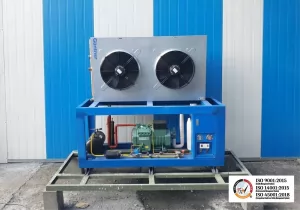 Bagaimana Cara Merawat Mesin Cold Storage Agar Awet dan Efisien